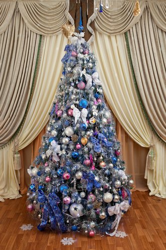 美丽的蓝美圣诞树
